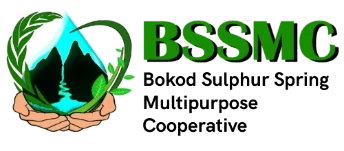 My Website
